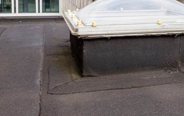 disadvantages of Lisnagunogue flat roofs