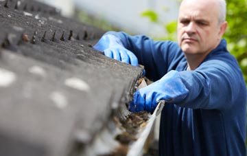 cleaning and inspecting Lisnagunogue roofs