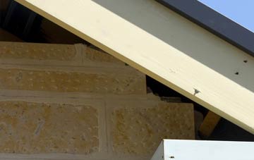 soffit repair Lisnagunogue