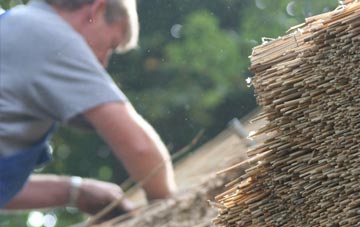 professional Lisnagunogue thatchers