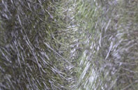 Lisnagunogue fibreglass roof work